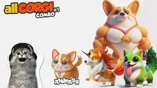 CORGI animash gameplay supreme merge animal, update pack new set animal