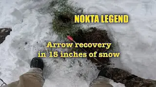 NOKTA LEGEND. Arrow recovery in 15 inches of snow. #nokta #noktalegend #metaldetecting