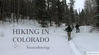 Snowshoeing in Colorado - La Plata Trailhead - San Isabel National Forest