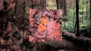 Sonus Corona - T.N.D.