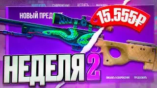ТОП 5 КОНТРАКТОВ в ФЕВРАЛЕ 2026 CS2/КС2! part 2