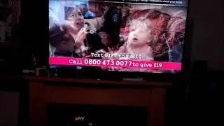 sky Q tv installation