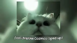 fool-frankie cosmos (sped up)