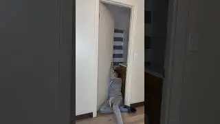 Когда твой парень просит принести ему полотенце 😂