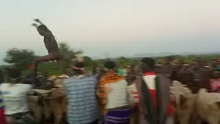 Bull jumping ceremony /Hamer/Ethiopia