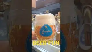 Beer Fun #templetexas #pivo #czechlager #brewery #craftbrewery