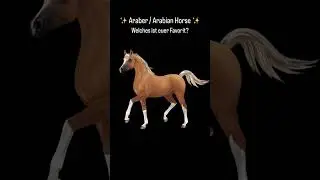 Arabian Horse 🥰🐴| Star Stable [SSO] #shorts #sso #starstable #starstableonline #tiktok #reels
