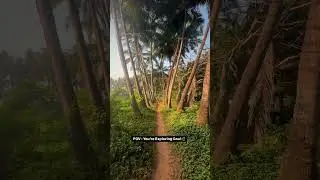 Hidden Paradise found in Goa!😍🌴