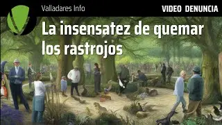 75 - VIDEO DENUNCIA - La insensatez de quemar rastrojos