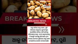 Ministers Assurance Fake Vs Reality Check On Potato Crisis