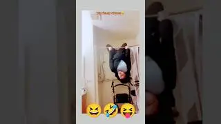 Epic Funny Moment 😂 .............