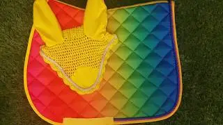 Rainbow Saddle Pad & Fly Veil Matchy Set