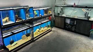 Feeding all the fish