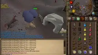 2 Mains Go Pking All Over the Wilderness [Unexpected Loot]