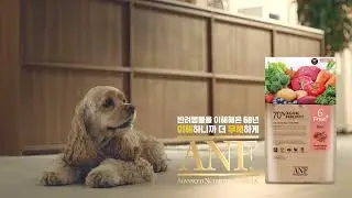 [ANF] 이해하니까 더 무해하게, ANF 6Free 15초 dog Ver.