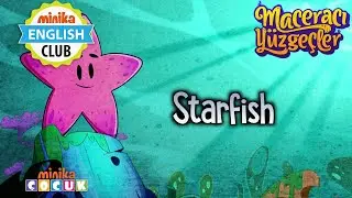 Maceracı Yüzgeçler İngilizce | Denizyıldızı⭐​​​​​​​​​​​​​​​ ​​​​​​​​| Minika English Club