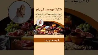 Shukar Adda Karnay Walon Ka Darja Sabar Karnay Walon Kay Barabar #islam #shorts #insightsden