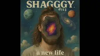 a new life FLiP