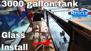 Finally getting the glass in the 3,000 gallon tank