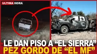 LE DAN PISO a 