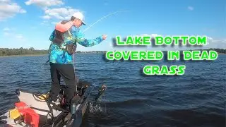 When Mismanagement Slows Down a Lake