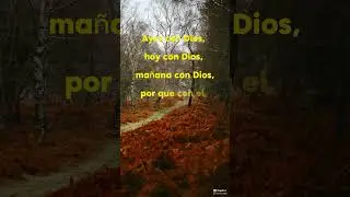 #elpoderdelamente