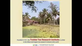 𝐓𝐨𝐜𝐤𝐥𝐚𝐢 𝐓𝐞𝐚 𝐑𝐞𝐬𝐞𝐚𝐫𝐜𝐡 𝐈𝐧𝐬𝐭𝐢𝐭𝐮𝐭𝐞 || The oldest and largest tea research institute in the world