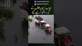 Wildlife Dept Rescues Mian Saqib&rsquo;s 6 Lions from Lahore Ravi Flood