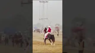 amazing 👏 🙀 #tranding #horse #toptenlist #horsefan #horseriding #toplist #horselover