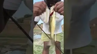 Tulsa Fishing 101 🎣 Getting It Done!