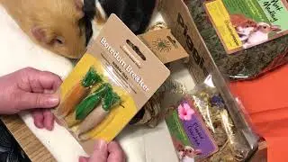 MGPR - Piggie Box- May2020