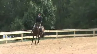 Avonlea Way at Maryland Horse & Pony Show 2013 Modified Hunter 1st trip