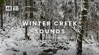 8 Hour Winter White Noise | Cozy Snowfall for Relaxation | Deep Sleep | Meditation | Focus