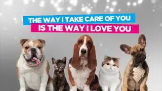 Why do You Love your Pets? Using Forever Living Aloe Vera Products on Animals