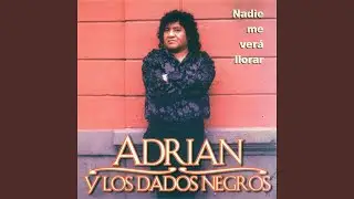 Nadie me Verá Llorar