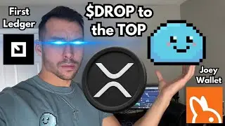 The #1 MEME COIN on XRP (First Ledger/Joey Wallet)! $DROP $xrp