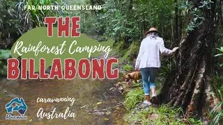 RAINFOREST CAMPING with non stop rain! Extensive Walks in the bush | EP 82 Far North Queensland Trip