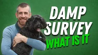 What Is a Damp Survey?