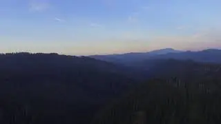 Siuslaw Forrest - Five Rivers2