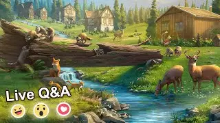 Вопросы и ответы в прямом эфире: мероприятие &laquo;Дикая природа&raquo;