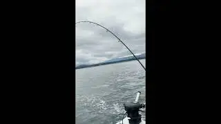 Adventure with Dave Jenkins