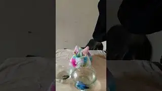 സുഖമാണോ എല്ലാവർക്കും