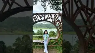 #rawrrr