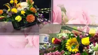 Florists Charlotte, North Carolina (NC) - Elizabeth House Flowers, Inc.