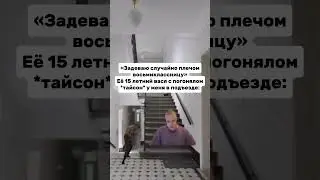 Тот самый защитник восьмиклассницы | меллстрой
