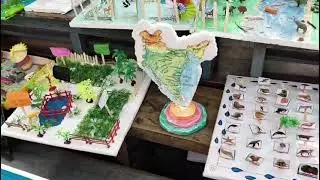 Nava Bharath school #vijayawada #krishnalanka #project work Exhibition 