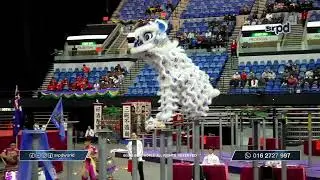 Australia Jin Wu Koon 澳洲振武馆 🔥2026【香港夜光龙醒狮锦标赛】World Hong Kong Lion Dance Championship