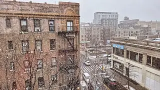 Snowy in Fordham, live!