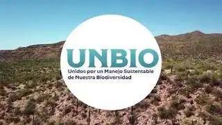Ponencia: 