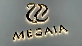 The customer customizes mirror rose gold backlit letters.